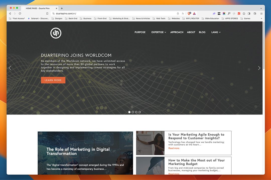 Duarte Pino project showcase